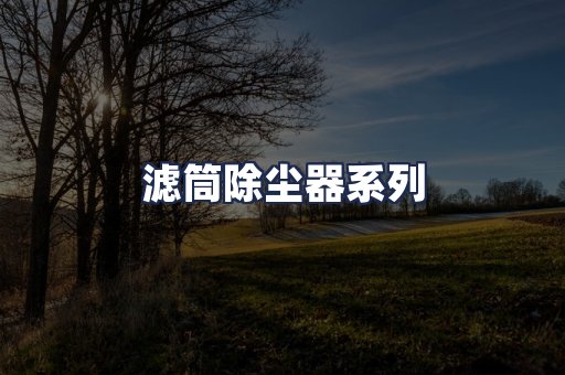 滤筒除尘器系列